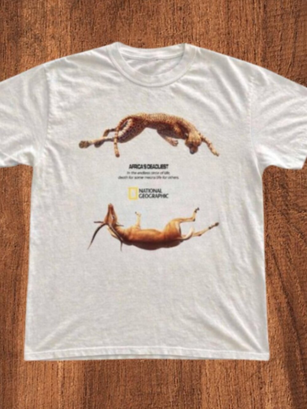 National Geographic Cheetah Graphic Tee T-Shirt